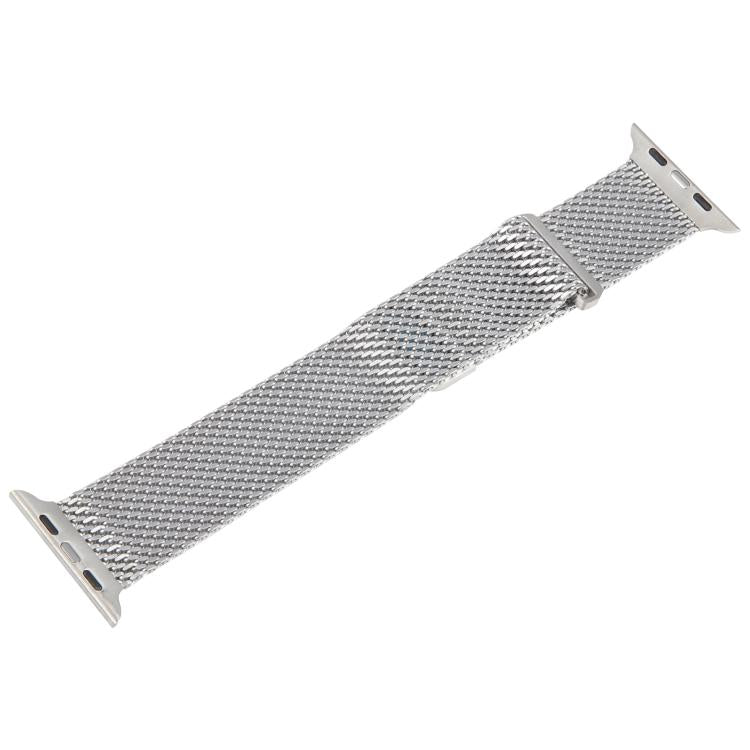 For Apple Watch 46mm / 49mm / 45mm / 44mm Double-section Magnetic Milanese Titanium Watch Band(Silver) by bashfashion