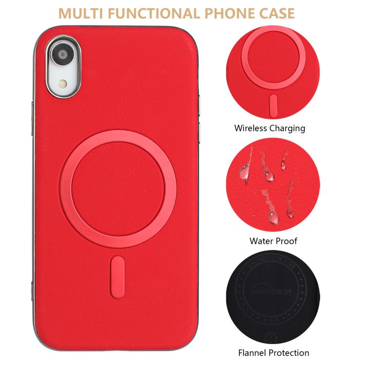 EDA008020221A_3.jpg@05a5856efacd0c0a43d3dd8744dfc956