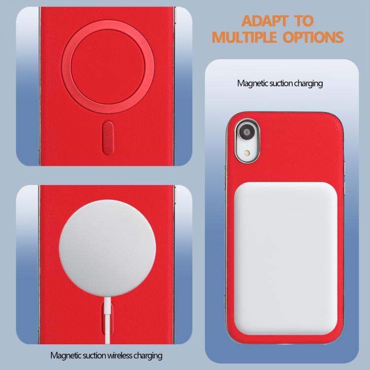 EDA008020221A_4.jpg@ea85e86667ccb1e4cd4fd226a12022d7