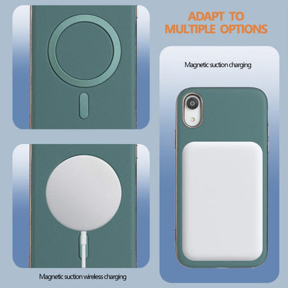 EDA008020221B_4.jpg@2912751fcfa8966baa0f06da13f39133