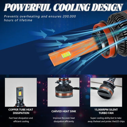 EDA008030402_4.jpg@65725849f59ee7301e049213d7e224d7