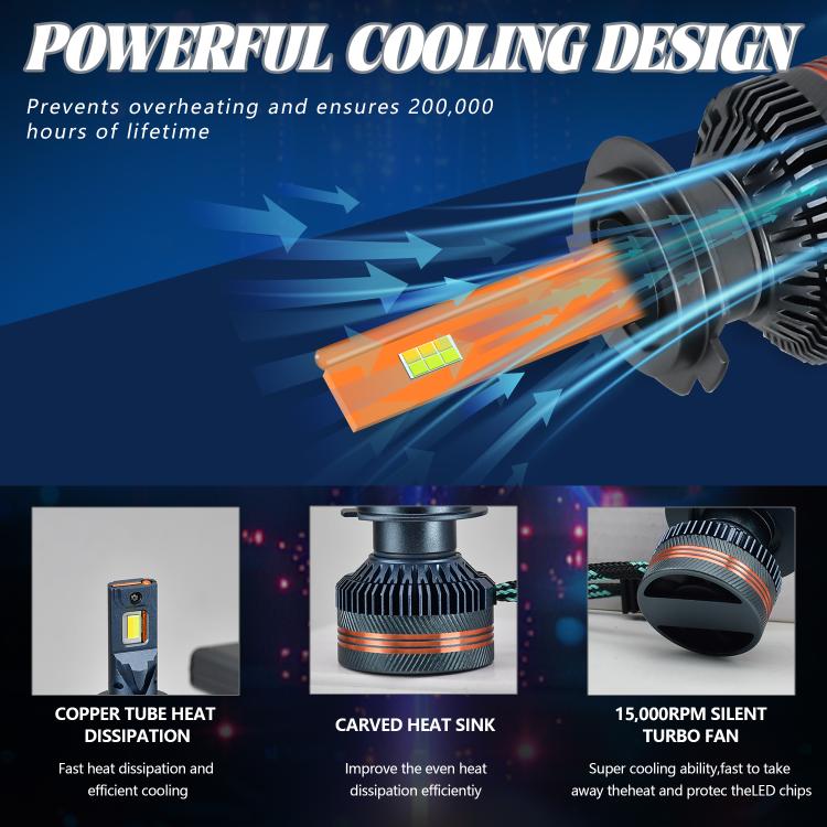 EDA008030405_4.jpg@ea2d5b738fc7e7bcc137d10b931c3315