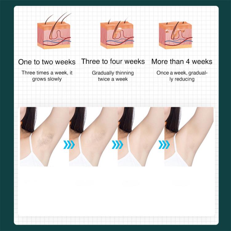 EDA0080355_B2.jpg@66840c696e882afa17a2c7f3233b1496