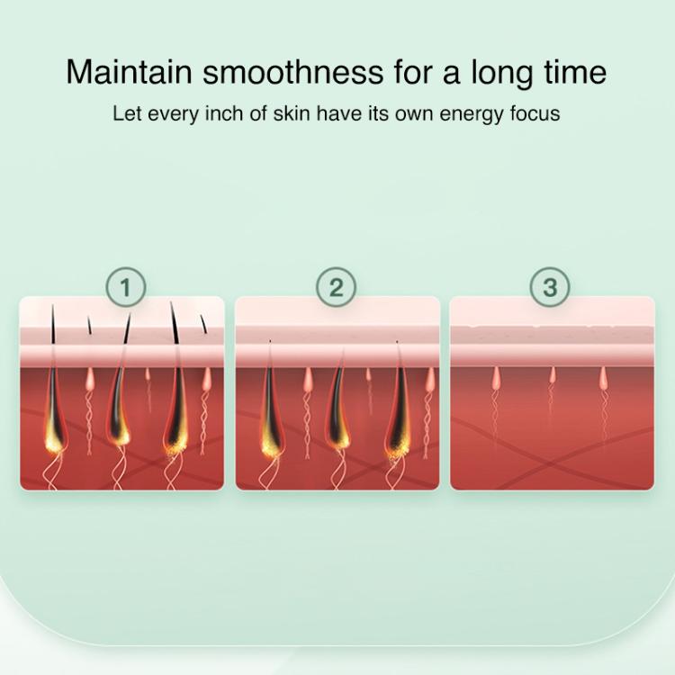 EDA0080366_B2.jpg@e450c01e9be9d373696bdc3617135a91