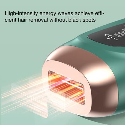 EDA0080366_B6.jpg@d40b531feae753560143eac4e0f5f75a