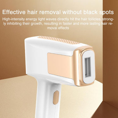 EDA0080372_B4.jpg@8f61b8bae234abea83eaab9365340657