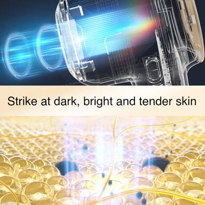 AF-101 Home Milk Light DPL Freezing Point Photon Skin Rejuvenation Device, EU Plug(Black) by bashfashion