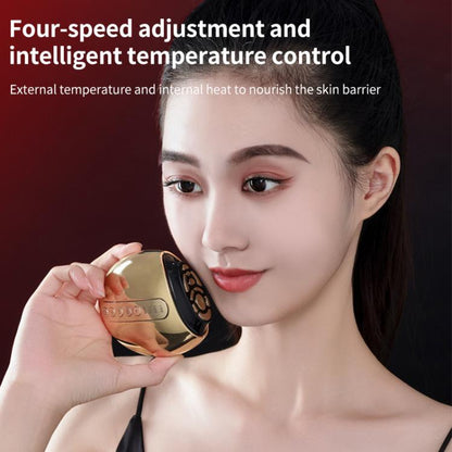 WG-CY00-7 12-pole Large Iron Style RF Skin Rejuvenation Beauty Instrument(Gold) by bashfashion