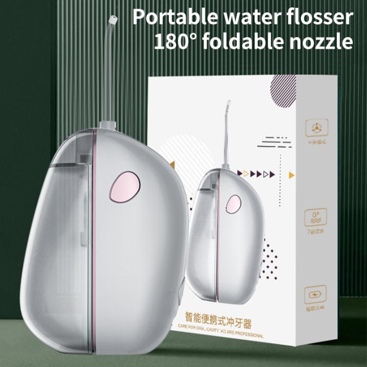 FY-B301 Portable Folding Smart Water Flosser, 120ml Water Tank(Silver) by bashfashion