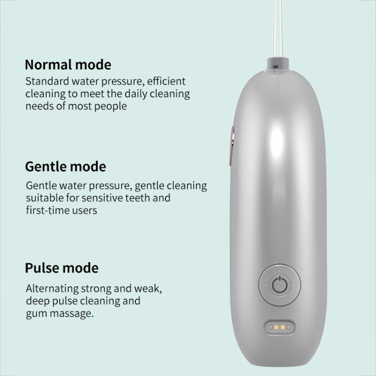 FY-B301 Portable Folding Smart Water Flosser, 120ml Water Tank(Silver) by bashfashion