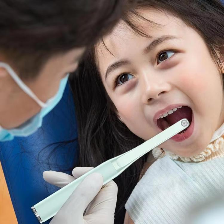 FY-B800 Visual Oral Observation Instrument Wireless WiFi HD Oral Endoscope(Black) by bashfashion