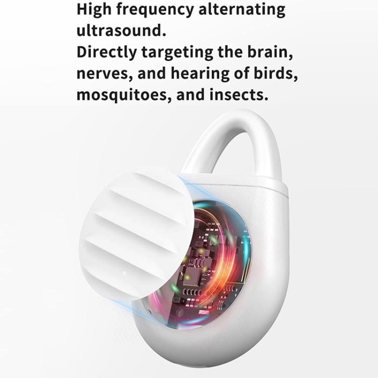 EDA0080869_B3.jpg@86cc0e08d604603d6b1bb09189a540d8