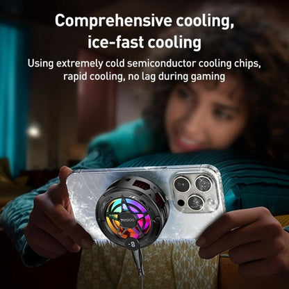 EDA008098201A_2.jpg@c0e13a46059ef2922a1a17b4dd1c8770