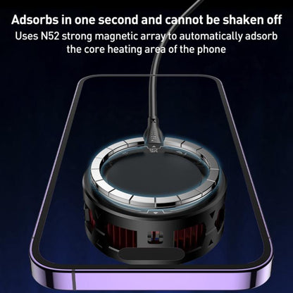 EDA008098201A_4.jpg@ba7149cf8fa405856813af80667f15de