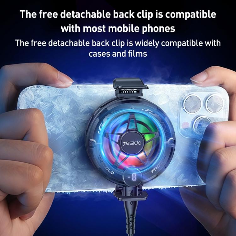 EDA008098201A_9.jpg@564296aface6af25d865e9ef26bf82ca