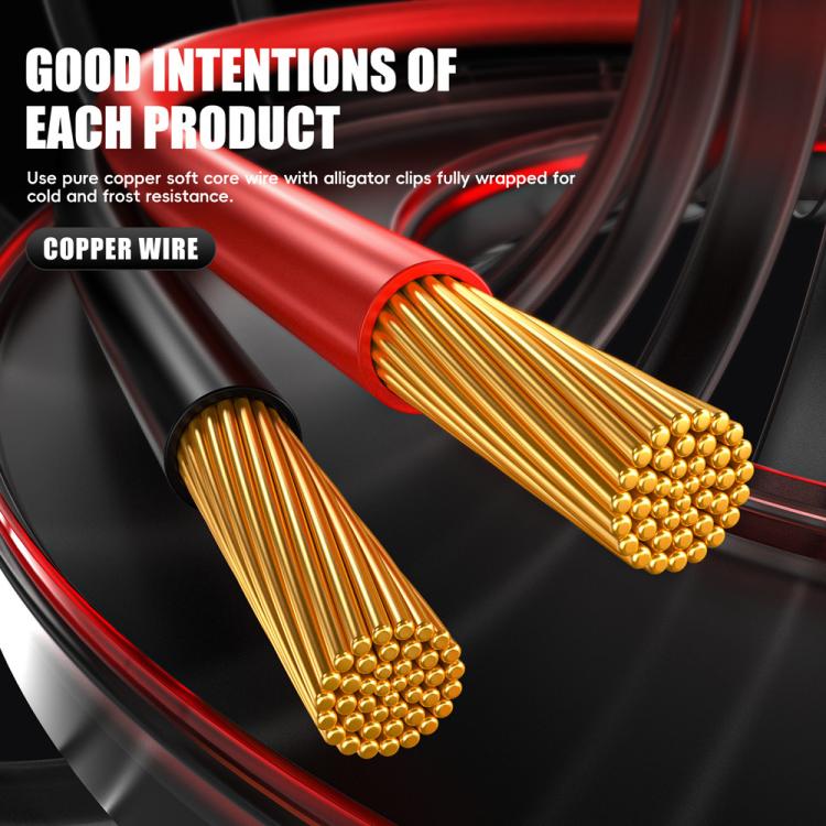 EDA008118401A_15.jpg@e3eb480e2c7c9099c39540d36f421a15