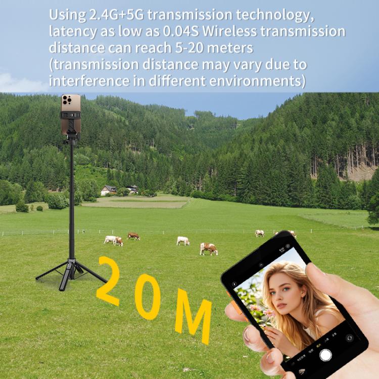 EDA0081574_B7.jpg@580ed9962befbf84e323dc1825063c3f