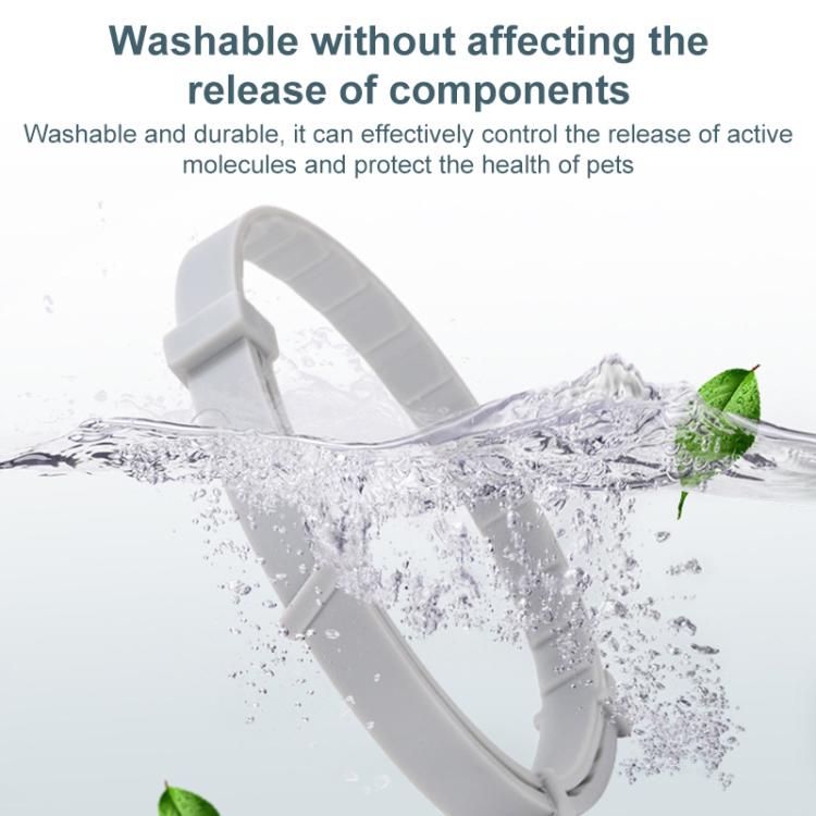 EDA0082195_B2.jpg@563bb505c98b800143d2ca8c3aaa39df