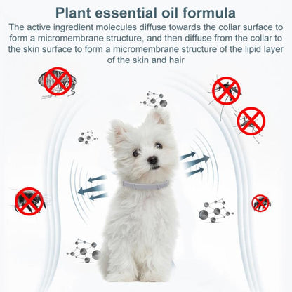 EDA0082195_B3.jpg@1424cea4e0c7c6554f79933596b70e72