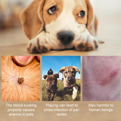 EDA0082195_B6.jpg@7610331c2e8fd5be96701e75c95ae117