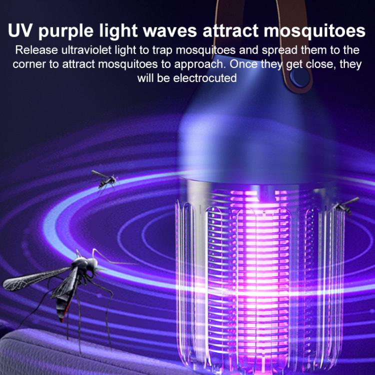 EDA0083244_B3.jpg@b0a6266f51db7cf047b63002d1460c1f