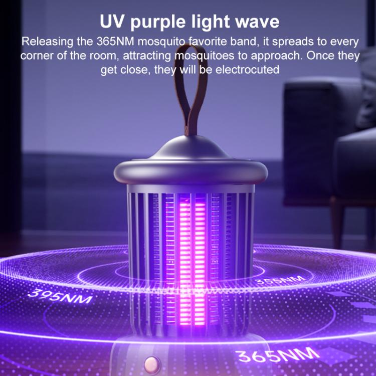 EDA0083246_B2.jpg@274fd2463c008285ea6304fb60005cca