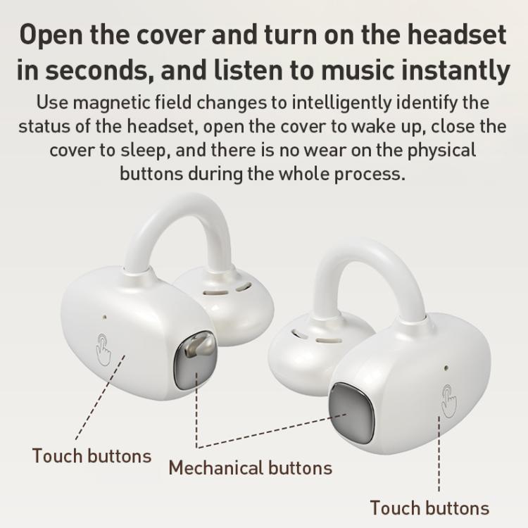 EDA0084391_B8.jpg@d435d27ffeb67fe445dec5e3c3d0794a