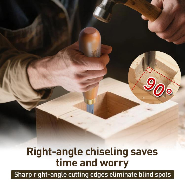 EDA0085385_B4.jpg@5d40fd9295ac2057602090137c230f03