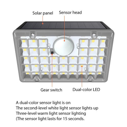 EDA0085885_2.jpg@e58d5630623ba84df2fb7124107d42c1