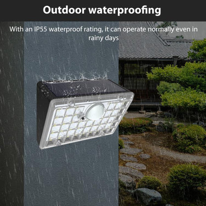 EDA0085885_3.jpg@1ea3de16e3944c8df13712aea2a90832