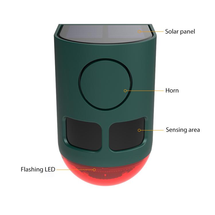 EDA008589601A_1.jpg@642dc5fbe0a7e327bf081cb9f1192716