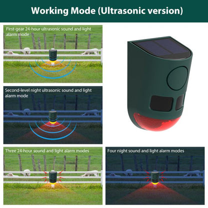 EDA008589601A_4.jpg@c4c32e99211e47bdba6101f475a5a371