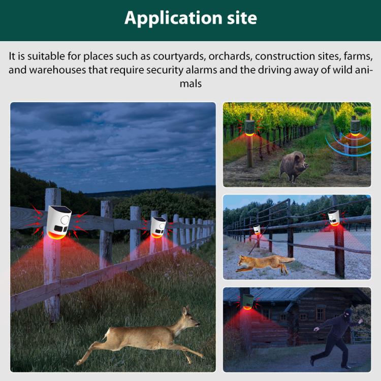 EDA008589601A_7.jpg@47b83683a918908c966cacffab8aea86