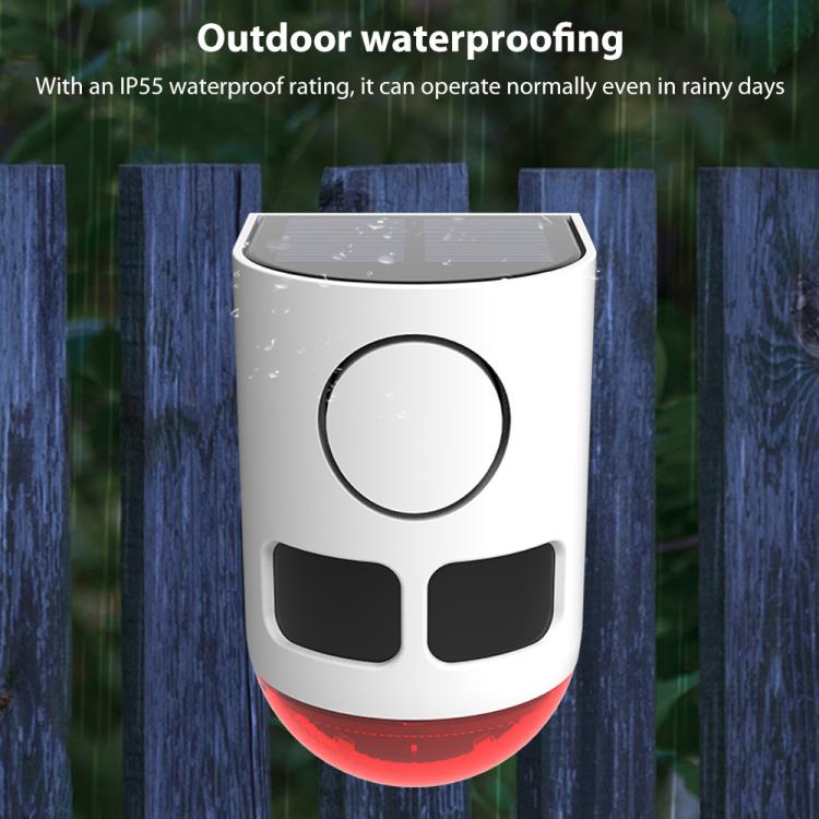 EDA008589601B_2.jpg@e94cf5ae5225af36ed32177cf7133709