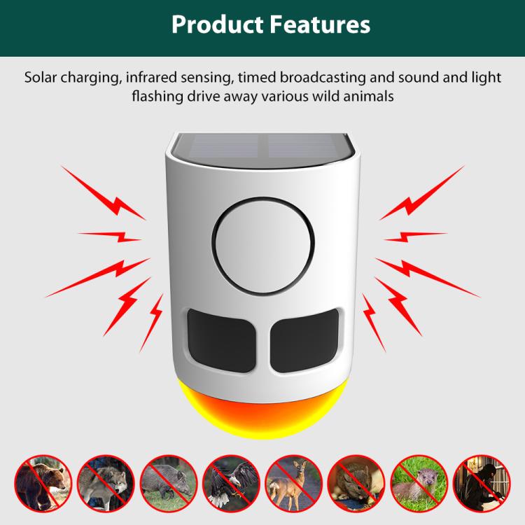 EDA008589601B_4.jpg@696206f6b14c5e6b0a86952c5c53e13a