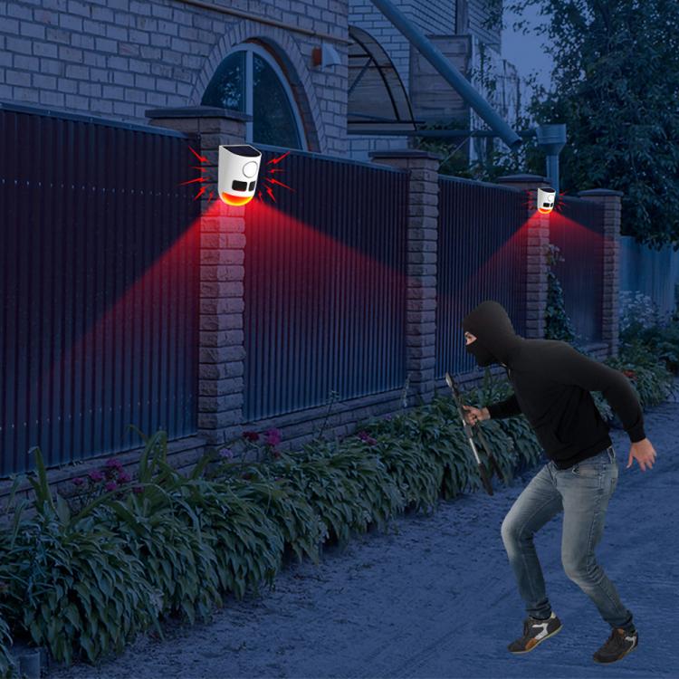 EDA008589601B_7.jpg@1e18a877232da84db52212e5bcdceb31