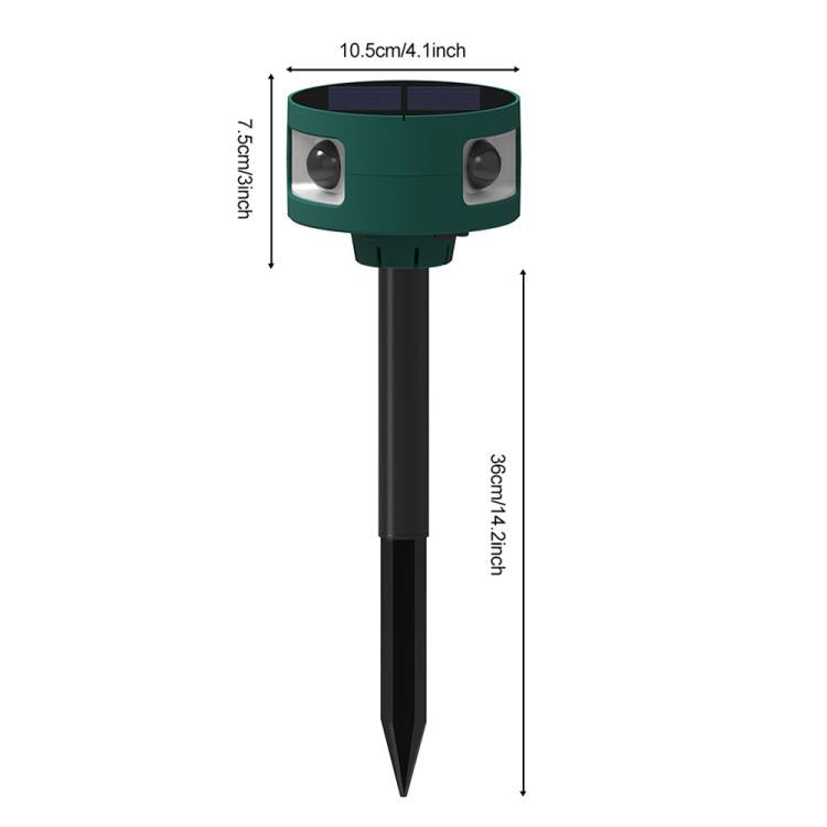 EDA0085904_2.jpg@13aaf6d5a5fba47004f5c910d0852b94