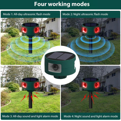 EDA0085904_7.jpg@3bce51798dfe48472cdd40ca9a8ed741