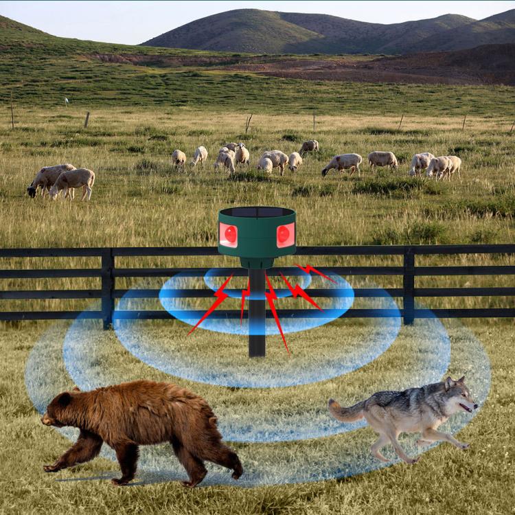 EDA0085904_8.jpg@ea7859ada3092a50dca775692698185a