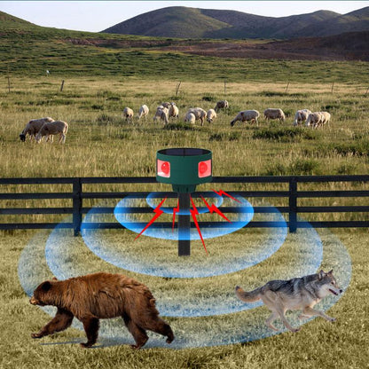 EDA0085904_8.jpg@ea7859ada3092a50dca775692698185a