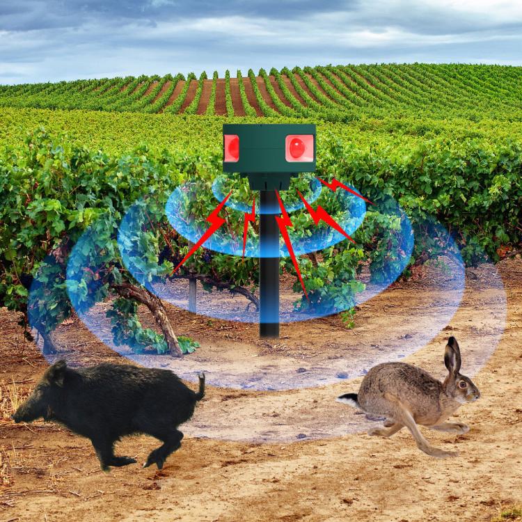 EDA0085904_9.jpg@40d90853aab340c6510f21c9ceca8de1