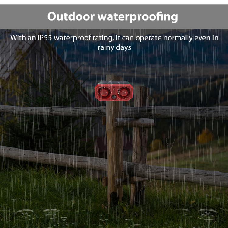 EDA0085906_3.jpg@ca6684362df8bde3871b450d7b3f1fba