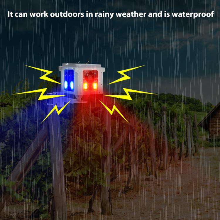 EDA0085908_5.jpg@79bf2eb428fe4868c2113cb05476cee3