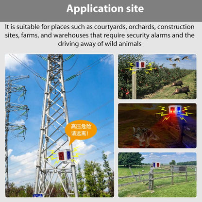 EDA0085908_6.jpg@27a68cafd9c21d2cc526c89c46ffddc7