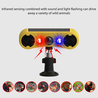 EDA0085912_5.jpg@9504e10d23c27309e9e8f4e4ac4f530d