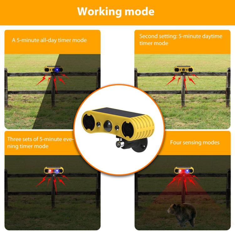 EDA0085912_6.jpg@6fda89a6afaabe5bc776dcf9d0944d42