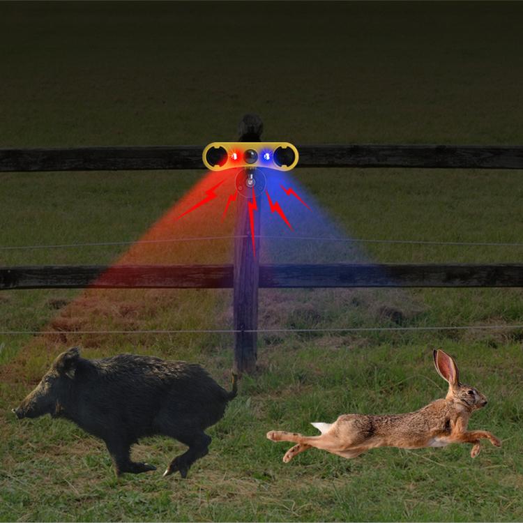 EDA0085912_8.jpg@f1f13556fa250ebecfdc31864d35540c