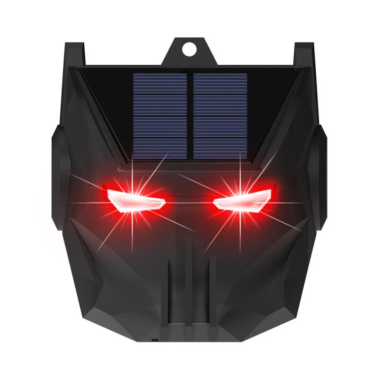 EDA0085914.jpg@bcfbdcdb257024a3a058f3a5b02cd0ec