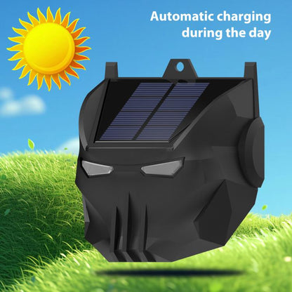 EDA0085914_2.jpg@f932b4c162ddae42b5927f6a31c2b4c1