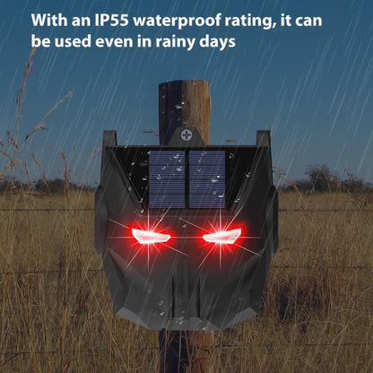 EDA0085914_3.jpg@1e7bbeb9f328a84cb19698e01716d000